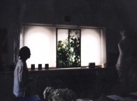 /album/vitraze-hana-baronova/reminisence-of-a-tree-2-jpg/